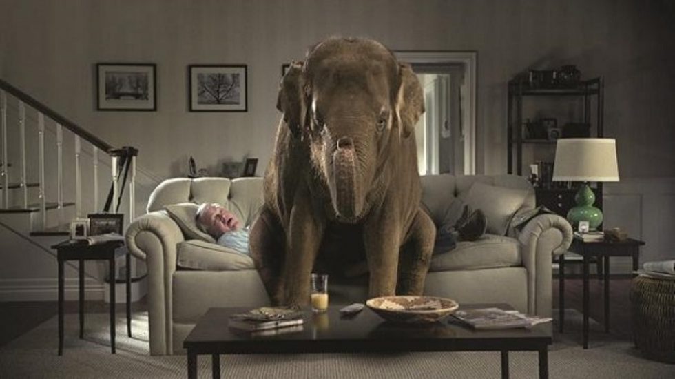 Elephant-in-the-Room
