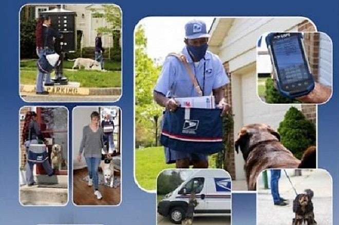 Postal Bulletin: National Dog Bite Awareness Week, June 5–11, 2022